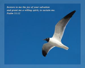 Daily Scripture Art Psalm 51 12